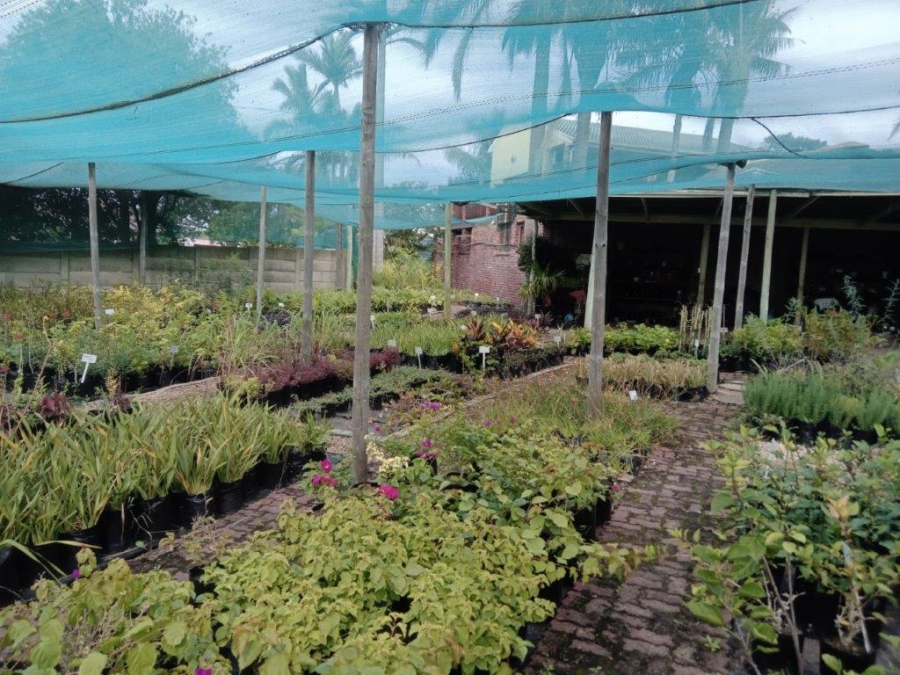 4 Bedroom Property for Sale in C Place Eastern Cape